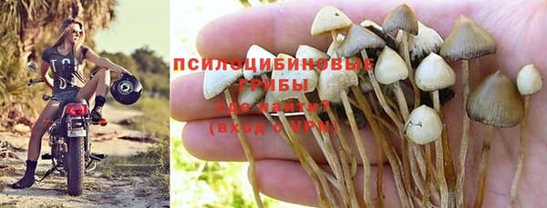 а пвп мука Богородск