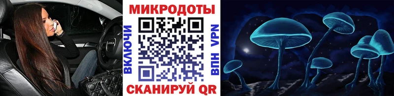 даркнет сайт  Верхняя Пышма  Галлюциногенные грибы мицелий 