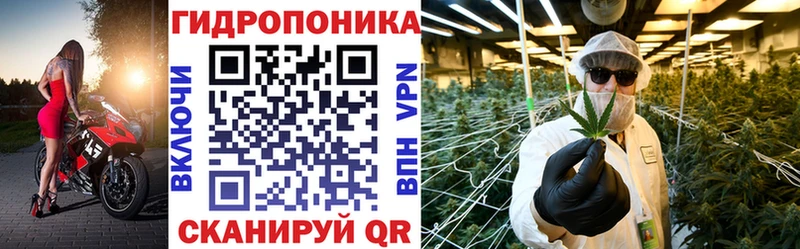 Конопля тримм  кракен   Верхняя Пышма  дарнет шоп 